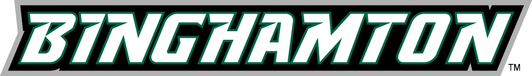 Binghamton Bearcats 2001-Pres Wordmark Logo v3 diy DTF decal sticker